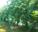 13Ft x 33Ft Anti Bird Protection Mesh Garden Netting Seedlings Plants Flowers... Garden Plants