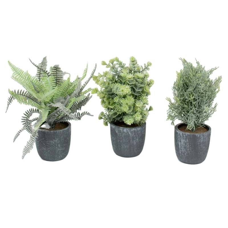 Elegant Fern Leaves Green Set Three Faux Floral Round Gray Pots Green Plant