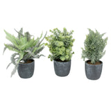 Elegant Fern Leaves Green Set Three Faux Floral Round Gray Pots Green Plant