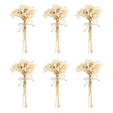 6 Pcs Mini Dried Flower Bouquet Baby's Breath Boho DIY Gift White Dried Flower