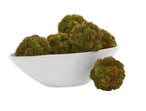 4" Sedum Artificial Succulent Spheres Set of 6 Faux Green Bowl Filler Decor Green Plant