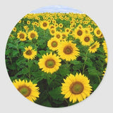 FIELD FLOWERS SUNFLOWER  handmade 1" pendant Silver 18" Necklace gift wedding Sunflower