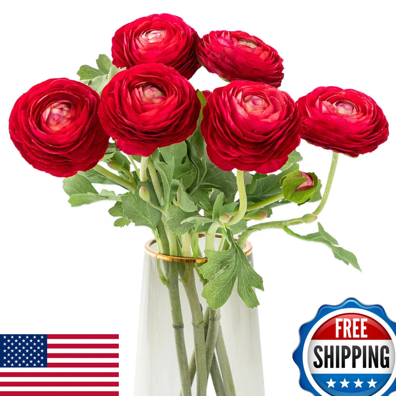 Artificial Ranunculus Flowers Real Touch Stem Silk Red, 6pcs 19" Tall Ranunculus