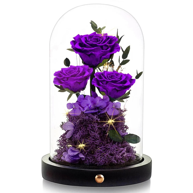 Purple preserved roses in clear glass dome on dark base gift