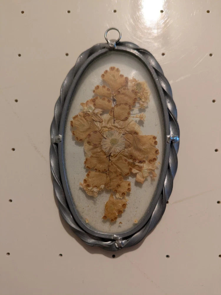 Oval glass dried flower frame with pressed botanical arrangement in pewter-tone oval