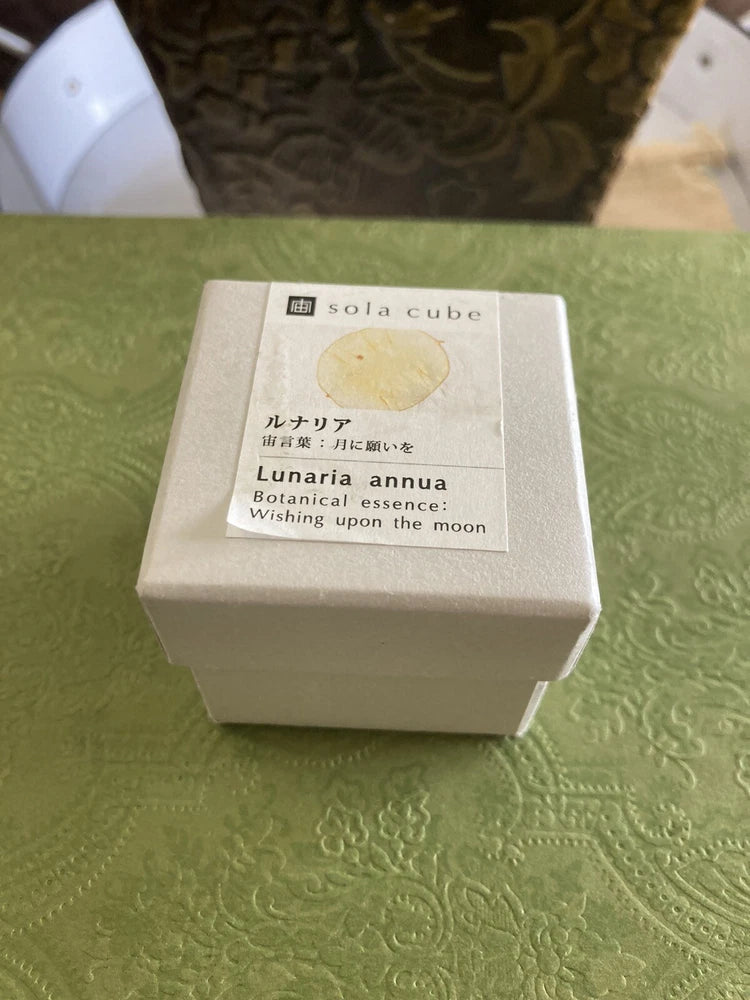 Square sola cube gift box with white label, 5cm dried flower decor