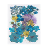 30 Pcs Dried Pressed Flower Leaves Bulk for Resin, Ocean Blue Dried Flower