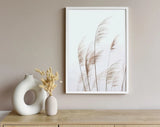 Pampas Grass Summer Poster Premium Quality Choose your Size Pampas Grass