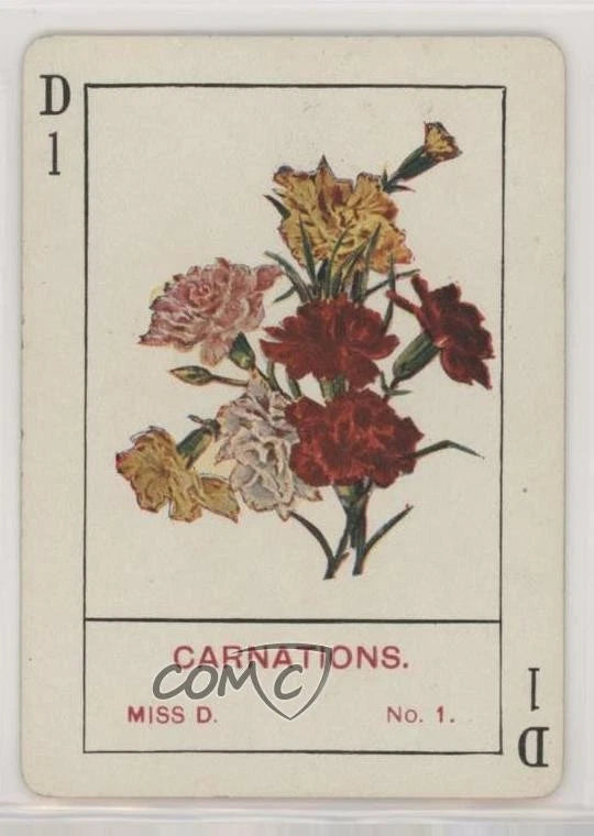Carnation floral trading card with multicolor flower bouquet illustration