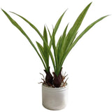 Balcony Display Artificial Daffodil Faux Narcissus Fade-resistant Finish Green Plant