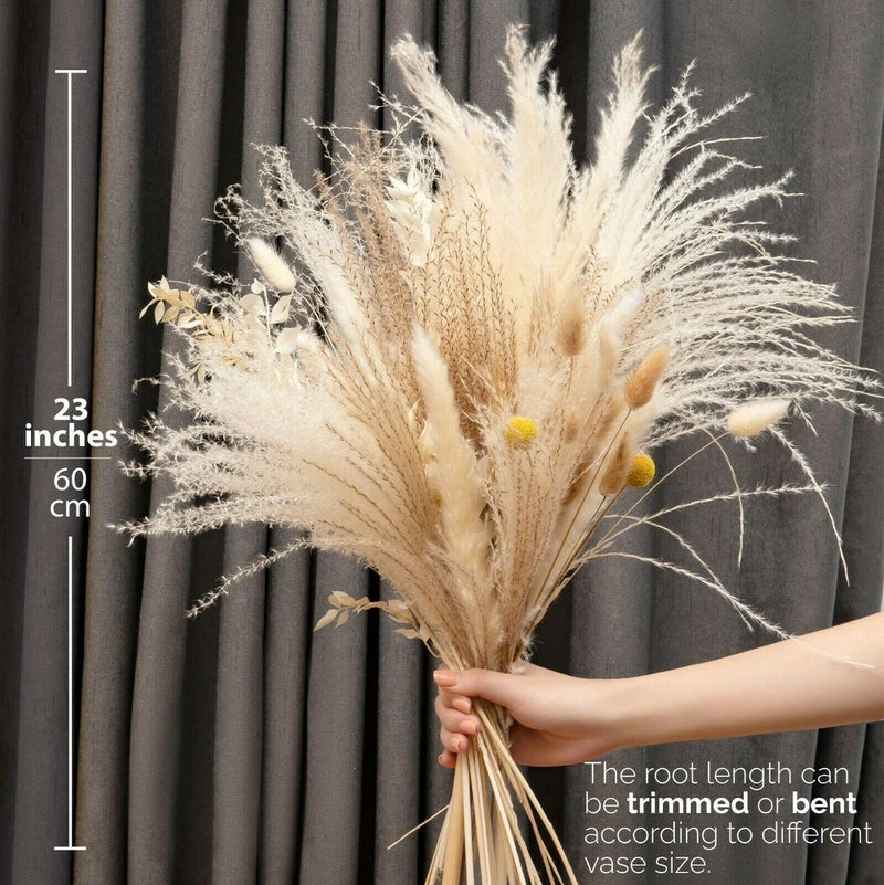 Tall Natural Dried Pampas Grass 23" High with Super Fluffy Tops,Elite Boho Style Pampas Grass