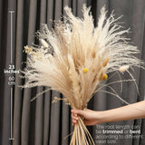 Tall Natural Dried Pampas Grass 23" High with Super Fluffy Tops,Elite Boho Style Pampas Grass