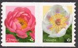 2025 Canada SC#  Flowers-Peonies-Semi-Double-Flower-pair-from coil die cut-M-NH Peony