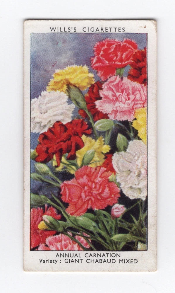 Wills Garden Flowers 1939. #11 Carnation Carnation
