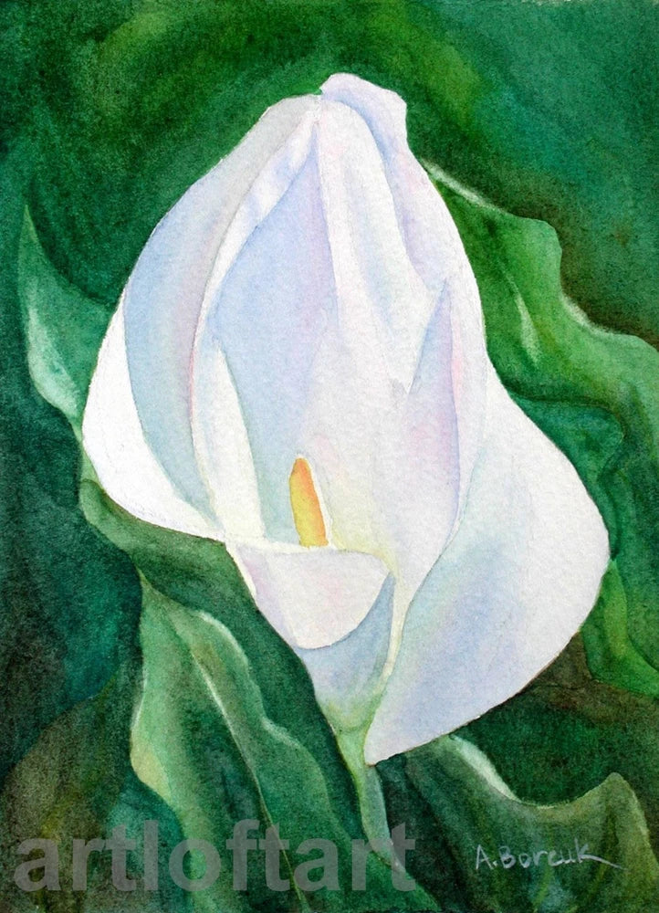 White calla lily flower watercolor ACEO card print with green leaves