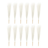 12 Pcs 17 Inch Faux Pampas Grass Artificial Boho Decor Cream Dried Flower