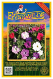 2000 Mixed Dwarf Petunia Wildflower Seeds - Everwilde Farms Mylar Seed Packet Garden Plants