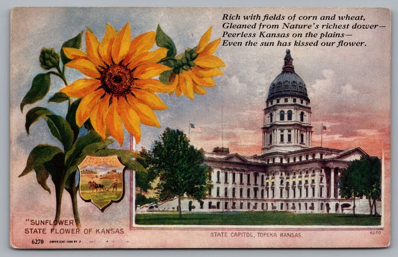 Kansas sunflower postcard with large sunflower and Topeka capitol building
