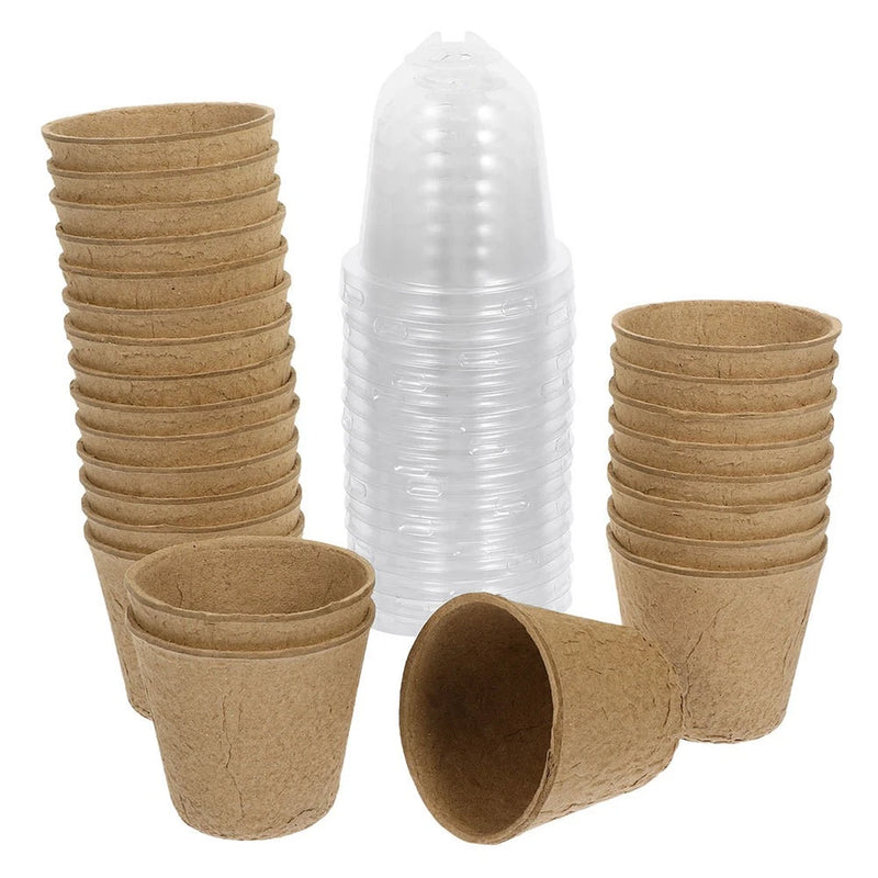 25 Pcs Plastic Nursery Garden Pots with Cover Clear Small for Plants Garden Plants