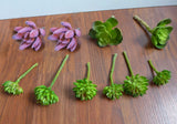 Miniature Artificial Set of 10 Plastic Grass Succulents Plants Green Plant