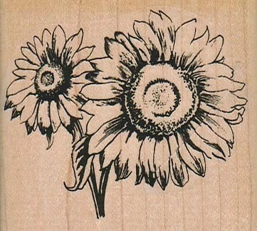Sunflowers 2 1/2 X 2 1/4" Rubber Stamp, Plants Stamp, Flowers, Trees Sunflower