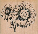 Sunflowers 2 1/2 X 2 1/4
