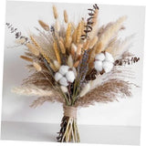 Dried Flower Bouquet - Pampas Grass, Cotton Stems, Bunny Tails, Natural Dried Flower