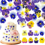 Maasechs 96 Pcs Natural Dried Pressed Edible Flowers for Cake Topper Purple Dried Flower