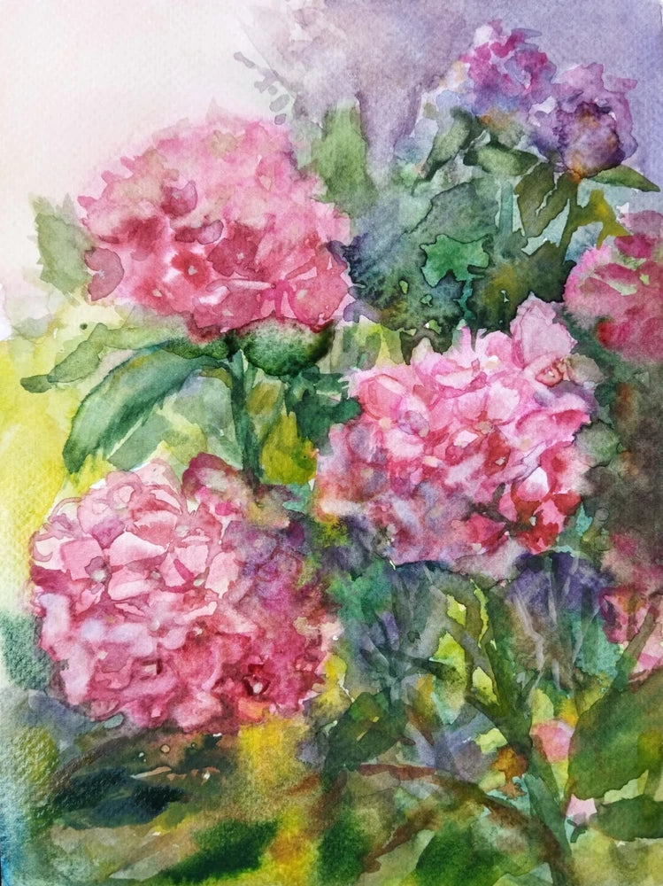 Hydrangeas Watercolor Painting Original Floral Art Pink Flowers Botanical Art Hydrangea