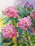Hydrangeas Watercolor Painting Original Floral Art Pink Flowers Botanical Art Hydrangea