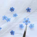 Good 20PCS Blue Forget Me Not Flowers Dried Pressed Nature Art Craft' Prof SCH Dried Flower