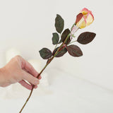 Dried Cream and Pink Artificial Rosebud Stem Flowers Dried Flower