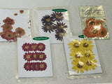Natural Dried Flower Colorful Pressed Flowers Petals Pressed Petals Dried Flower