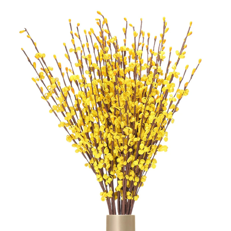 Tall jasmine flower stems, yellow buds on bundled green-brown stems, 12 pieces
