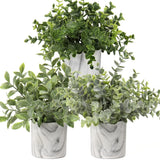 Mini Artificial Potted Plants Fake Plants in Marble Pots, 3Pcs Plastic Eucaly... Green Plant