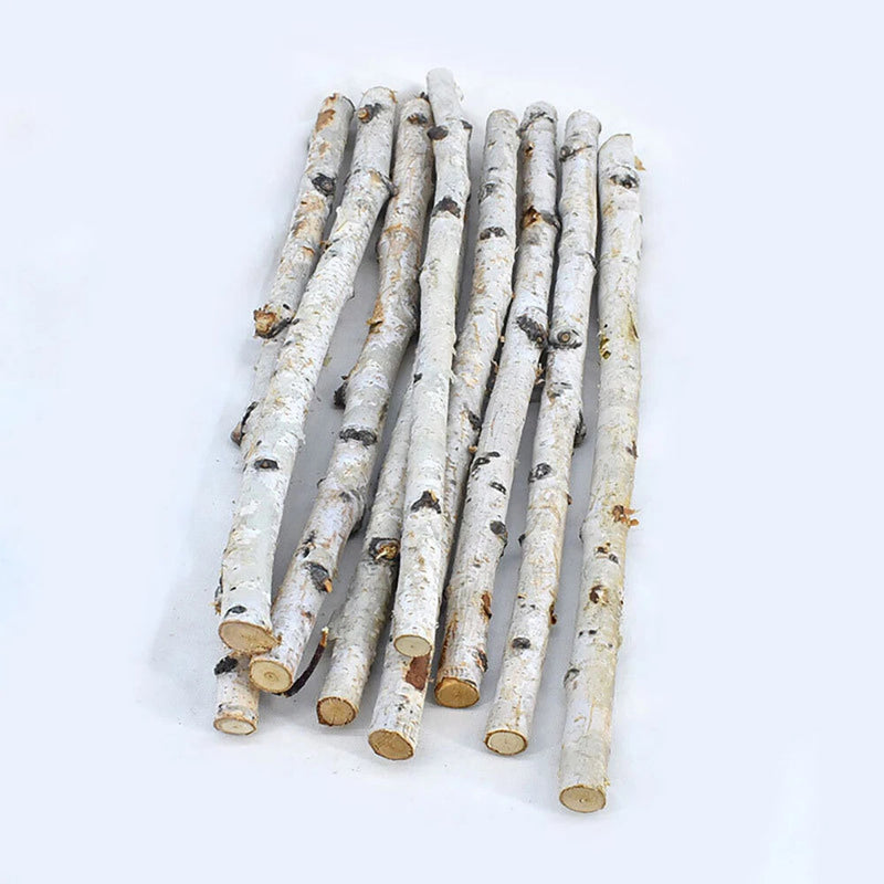Dried birch branch sticks bundle, light white bark cut stems for floral decor