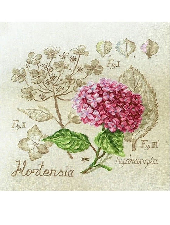 LBP French Cross Stitch Semi Kit ƒtude ˆ l'Hortensia hydrangea Study Hydrangea