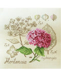 LBP French Cross Stitch Semi Kit ƒtude ˆ l'Hortensia hydrangea Study Hydrangea