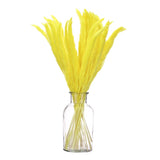 Yellow Pampas Grass Decor,  30PCS 17 Inch(Length) Pampas Grass Bundle Pampas Grass
