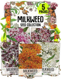 Seed Needs Milkweed Seeds for Planting a Butterfly Garden to Small, Mixed Garden Plants