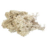 3.5 OZ Fake Moss Preserved Reindeer Moss Artificial Moss Lichen Natural Dried Flower