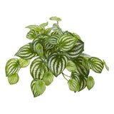 Nearly Natural 11" Watermelon Peperomia Hanging Bush Plant (Set of 12) Green Plant