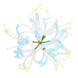 Artificial Flower Heads (7 Inch, Light Blue) 1 PCS - Spider Lily Silk Flowers Lily