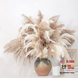 28" inch 20 Stems Large Pampas Grass Decor - Fluffy 20pcs 10brown & 10white Pampas Grass