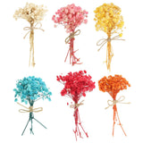 6 Pcs Mini Dried Flower Bouquet Baby's Breath Pink/Blue/Orange/Red/White/Yellow Dried Flower