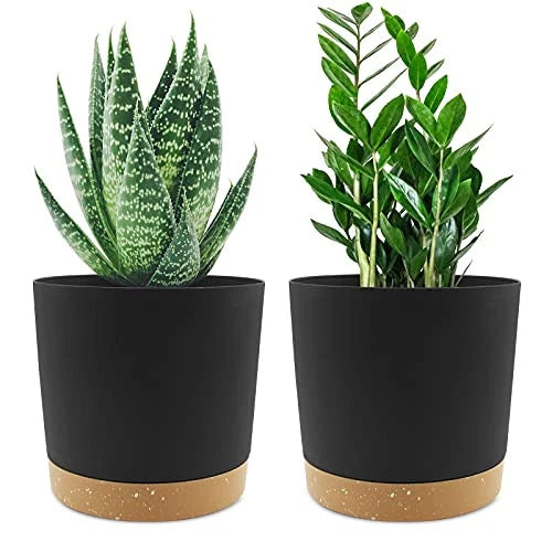 6.5 inch Plant Pot, 2 Pack Planters for Indoor Plants with Drainage Holes & Garden Plants