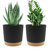 6.5 inch Plant Pot, 2 Pack Planters for Indoor Plants with Drainage Holes & Garden Plants