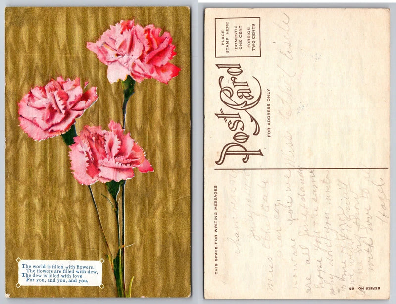 Pink Carnation Flower Poem Postcard Carnation