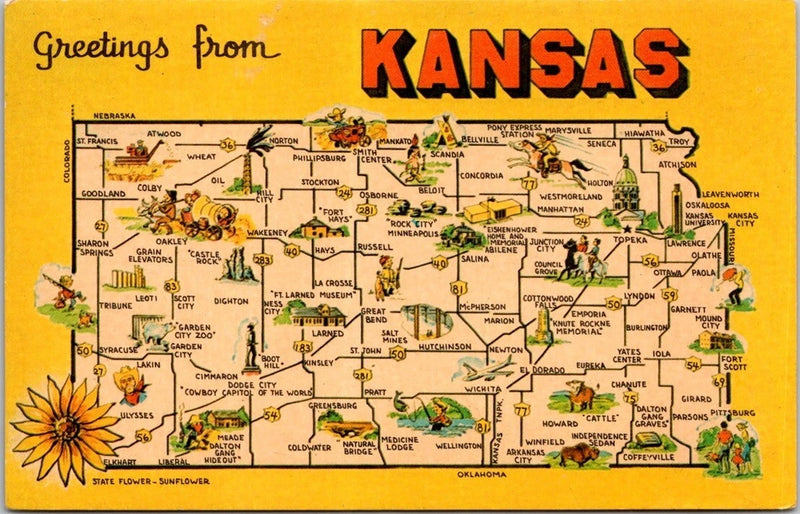 Vintage Kansas Greetings Landmark Postcard State Flower Sunflower Buffalo Sunflower