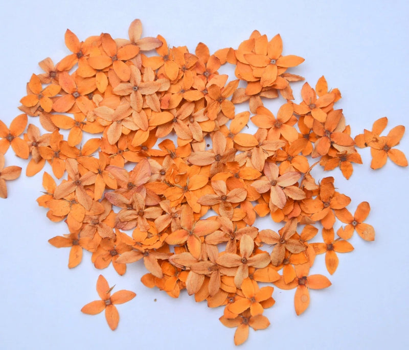 Light orange pressed flower petals for resin DIY crafts, dried floral pieces